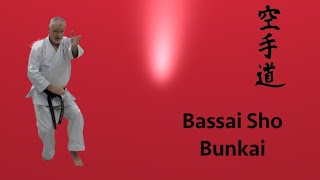 Bassai Sho Bunkai [upl. by Butch711]