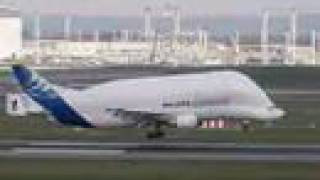 Airbus A300600ST Beluga landing in Toulouse [upl. by Joline]