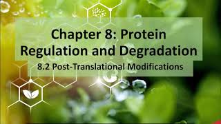 CH450 Chapter 82 PostTranslational Protein Modifications [upl. by Ennaitsirk286]