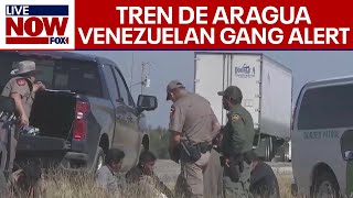 ALERT Venezuelan Gang Tren De Aragua Enters US  Texas updates on lethal TDA Gang [upl. by Oiraved]