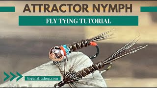 Attractor Nymph  Fly Tying Tutorial [upl. by Aitercal]