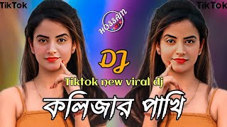 Kolijar Pakhi DJ RemixTiktok dj  Larjina Parbin  কলিজার পাখি ডিজে গান Bangla New Sad Song [upl. by Ayamahs]