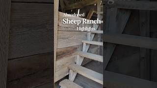 Abandoned Sheep Ranch Highlights adventure explore history abandoned timetravel [upl. by Cornall]