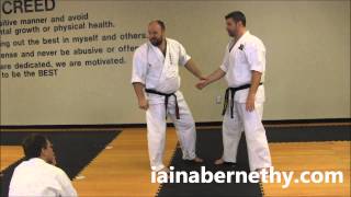 Practical Kata Bunkai Wanshu  Enpi Shifting Sequance [upl. by Libre]