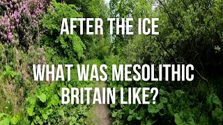 After the Ice What was Mesolithic Britian Like [upl. by Mayram20]