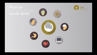 The Phases of Grief  understanding bereavement [upl. by Annazus40]