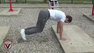 TWO LEG MOUNTAIN CLIMBERS  HQ Strength Drill [upl. by Suivatnad]