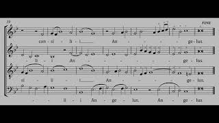 BASS practice Puer Natus Est Heinrich Isaac arranged [upl. by Mccourt597]