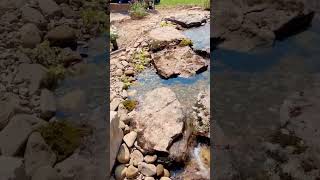 Look at this Amazing Pondless Waterfall backyard project [upl. by Indihar434]