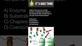 How Proteins are folded [upl. by Ggerk]