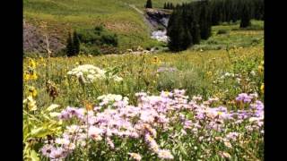 Lakeview Campground at Taylor Park Reservoir  JULY 2013 [upl. by Einnij]