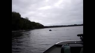 Moose Swimming across the Hay Creek Narrows Chippewa Flowage  by Corey Meyer [upl. by Etienne]