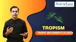 Types of plant movement  Tropism in Plants [upl. by Hamal562]