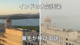 インドの大気汚染の影響で伸びる鼻毛を切るだけ [upl. by Zednanreh]