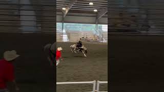 Ranch broncs is wildrodeo cowboys shorts [upl. by Sset]