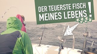 Der teuerste Fisch meines Lebens  Schleppangeln auf der Ostsee [upl. by Llehcram]