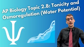 28 Tonicity and Osmoregulation Part II Water Potential  AP Biology [upl. by Eisenhart835]