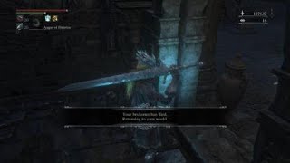 Bloodborne AFK in a Dungeon And This Just Seemed Way Too Easy [upl. by Eicak669]