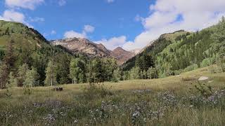 Noble Campground American Fork Canyon Utah [upl. by Ednil]