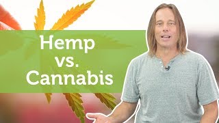 Hemp vs Cannabis  What You Need to Know [upl. by Atteniuq]