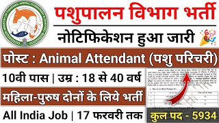 पशुपालन विभाग नई भर्ती 2024 l pashupalan vibhag new vacancy 2024 pashupalan vibhag recruitment 2024 [upl. by Assel]