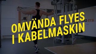 Omvända flyes i kabelmaskin Teknik och utförande  Gymgrossisten [upl. by Oates232]