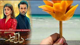 Dil Awaiz OST lyrics  Nabeel Shaukat Ali  Kinza Hashmi  Pakistani Drama Song  Lifetime music [upl. by Flore]