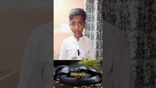 Fastest running 🏃snakes 🐍shorts ytshorts [upl. by Etram]