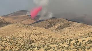 2024 Fire Season Midewin National Tallgrass Prairie [upl. by Gnek]