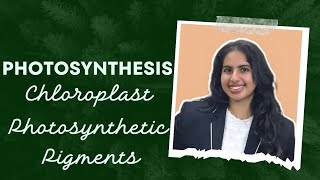 Photosynthesis  Part 2  NEET  Class 12  photosynthetic pigments  Palak Narang [upl. by Annaj]