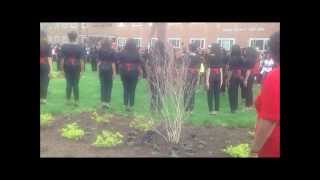 Alpha Chapter Delta Sigma Theta Sorority Inc Spring 2013 Felicitous 50 [upl. by Ailongam208]