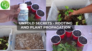 Secret Plant Cuttings Propagation Tips No One Will Tell You [upl. by Marla427]