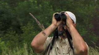 Nikon EDG Binoculars  Nikon Pro Review [upl. by Sager]