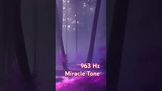 963 HZ  Crown Chakra Positive Energy Frequency of God Healing boosting positive energy [upl. by Perni654]