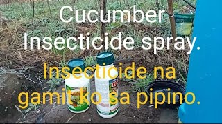 Mga insecticide na mabisang gamitin sa pipino [upl. by Sug317]