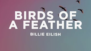 Billie Eilish  BIRDS OF A FEATHER Lyrics [upl. by Yelhs]