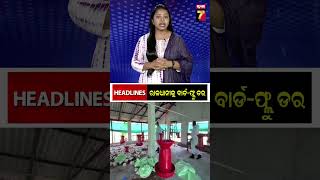 MidDay headlines   31 Aug2024 Prameya News7 shorts [upl. by Leugim942]