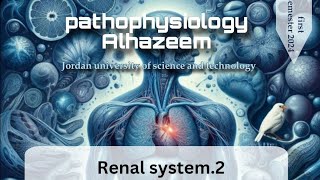 pathophysiology by Ahmed Alhazeem  renal pathophysiology 2  part 2 [upl. by Enale353]