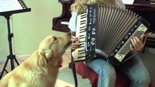 Mozart El perro Cantante Y Pianista [upl. by De Witt]