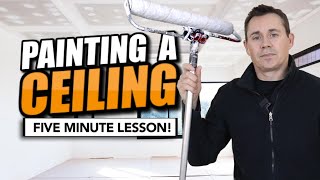 HOW TO PAINT A CEILING  Everything you need to know in 5 minutes [upl. by Eeleimaj970]