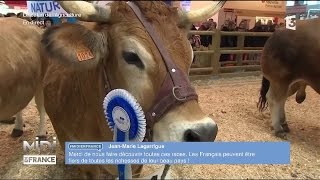 ANIMAUX  Les vaches Parthenaises défilent sur le ring [upl. by Kuhn]