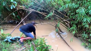 Joran sampai terbang Di tarik ikan lele monster mancing ikan lele monster di bawah bambubambu [upl. by Yesteb602]