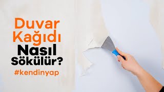 Duvar Kağıdı Nasıl Sökülür  Uygulamalı Duvar Kağıdı Sökme [upl. by Umont]