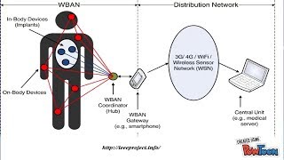 Things in the Internet  the WBAN Wireless Body Area Network [upl. by Anauqal818]