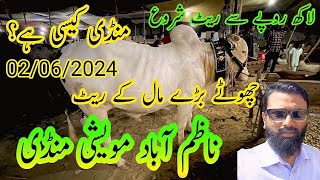 Cow Mandi Nazimabad Lag Gai Rate Update Janwer Lakh Se cattle market karachi [upl. by Alaekim51]