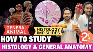 how to study histology anatomy in 1st year mbbs  general anatomy mbbs 1st year [upl. by Harmonia]