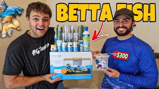 Buying NEW BETTA FISH AQUARIUM Kit [upl. by Atikel]