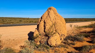 Termite Mounds Near Exmouth Western Australia  4K Ultra HD [upl. by Tammi]