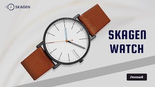 Skagen Signatur 40mm Minimalist Watch [upl. by Pierpont]