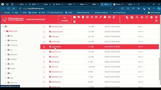 HOW TO DOWNLOAD WEBSITE FILEampPAGES FROM 000WEBHOST [upl. by Aronos]